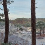 20211222_093003 (Gemiddeld)