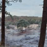 20211222_093024 (Gemiddeld)