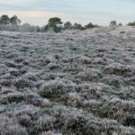 20211222_093548 (Gemiddeld)