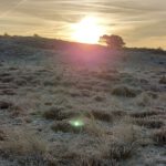 20211222_094126 (Gemiddeld)