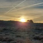 20211222_094224 (Gemiddeld)