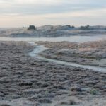 20211222_094401 (Gemiddeld)